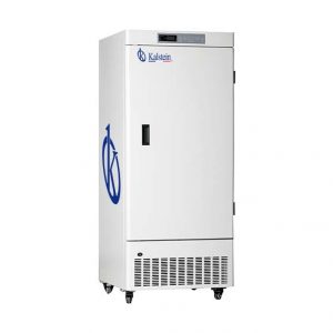 Biomedical Upright Stainless Steel Deep Freezer Adjustable Temperature Range YR05293
